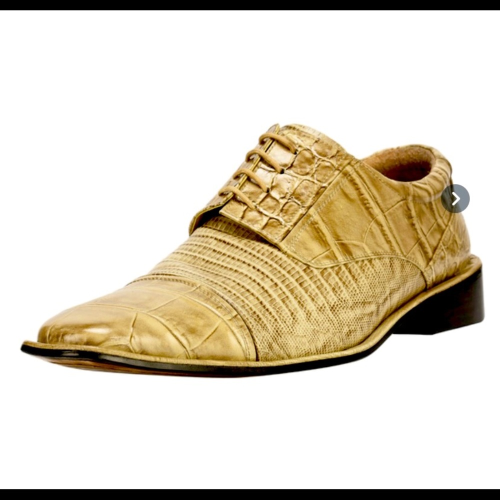 LibertyZeno Men's Lizard and Crocodile Printed
Dress Shoes.